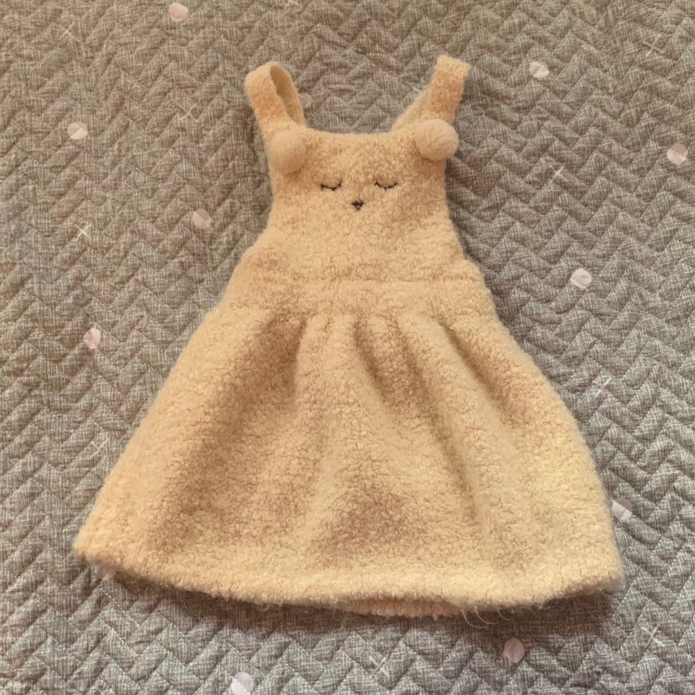 Zara Knit Dress